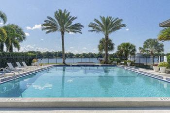 A large swimming pool with palm trees and chairs
